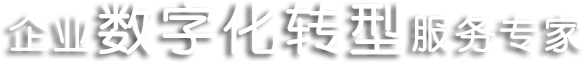企业数字化转型服务专家