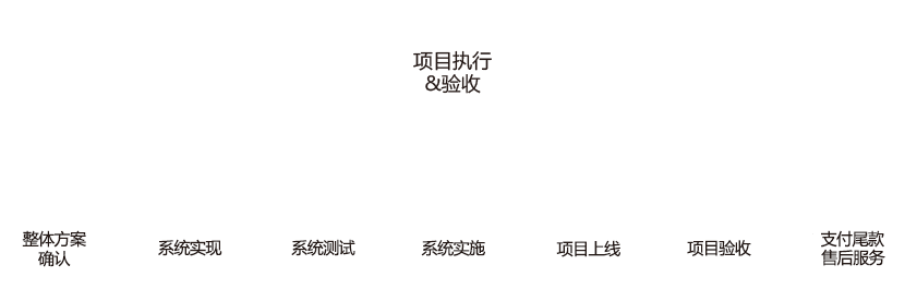 项目执行-验收